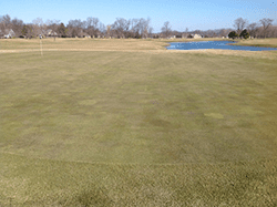 golf course 2 days after treatment 