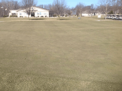golf course before treatment 