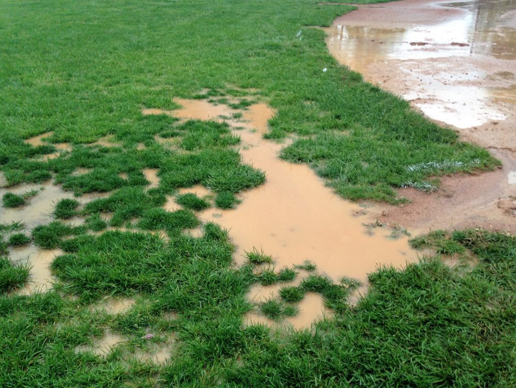 puddles in grass from rain