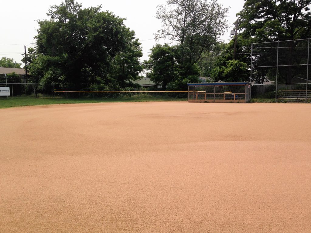 close-up of dirt on field 