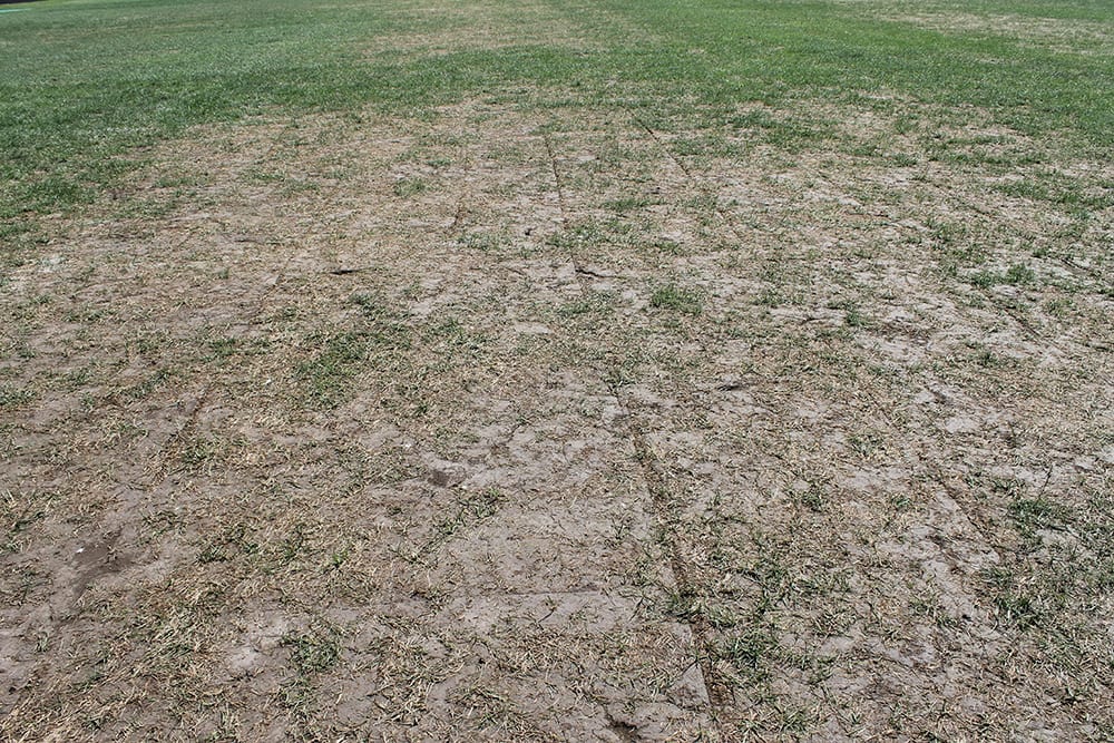 Varsity game field after rolling (close up)