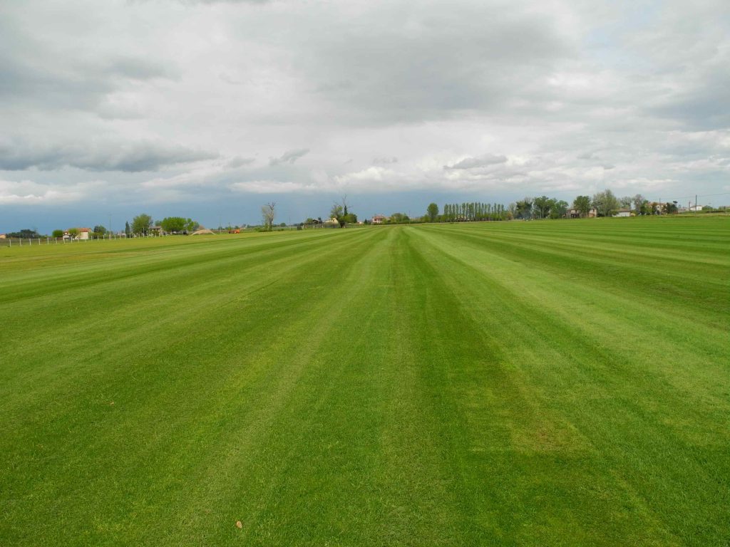 landscape view of field with freshly cut lines
