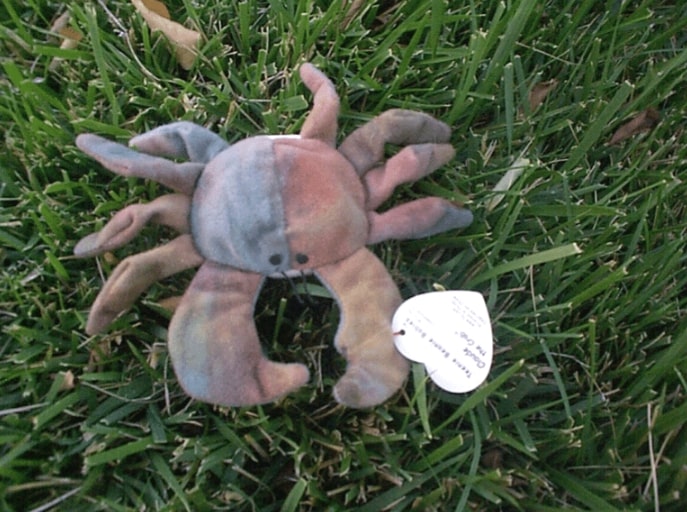 crab stuffed animal on grass