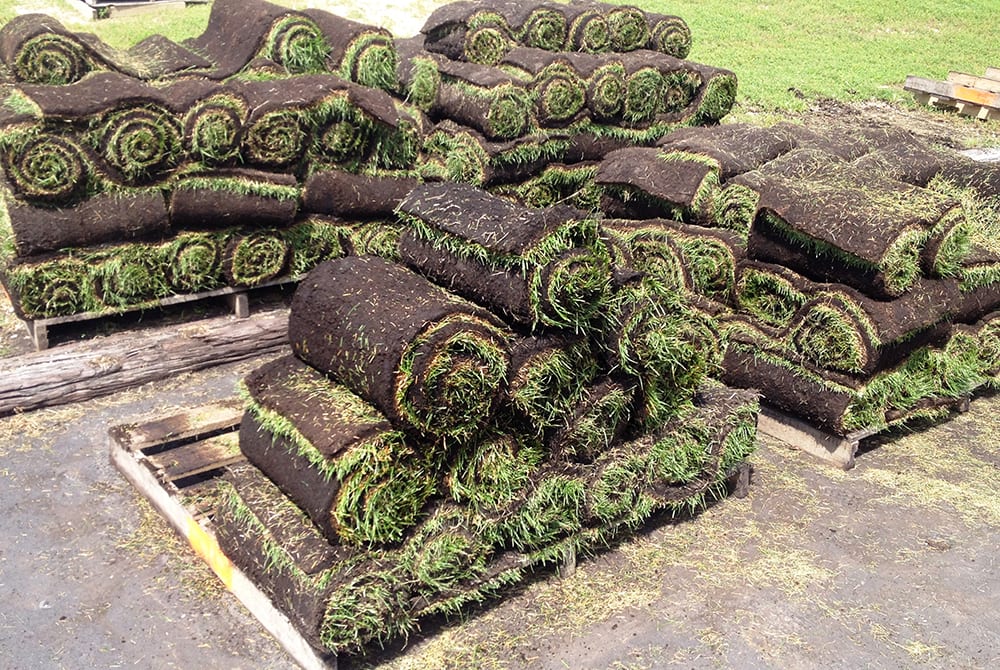 multiple piles of grass rolled up