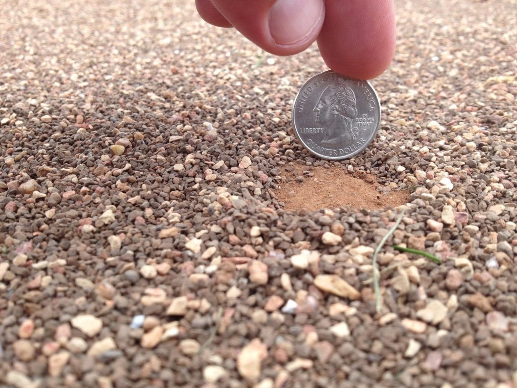 gentleman rolling coin in dirt