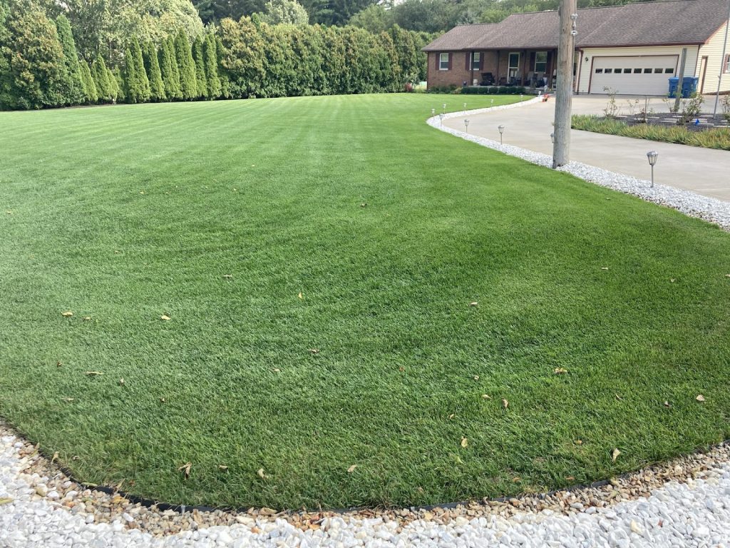 Home lawn converted to ProVista via seed. This lawn was once infested with hard-to-control grassy weeds, including bermudagrass. Four years following the seed conversion, the lawn remains 100% ProVista.