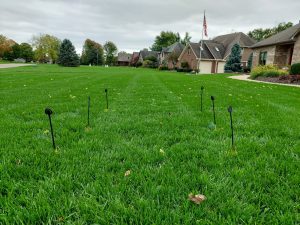 green lawn with stakes in it