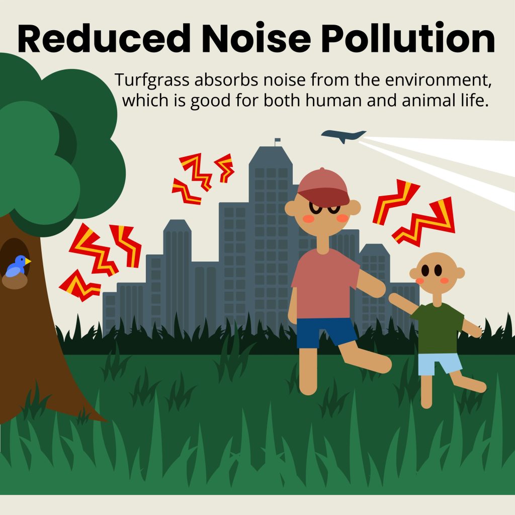 reduced noise pollution