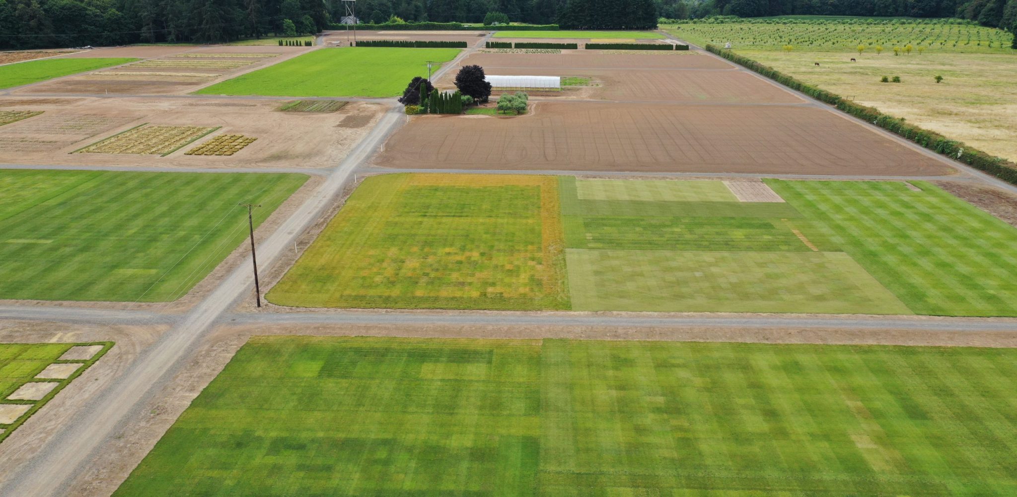 aerial of brown patch study