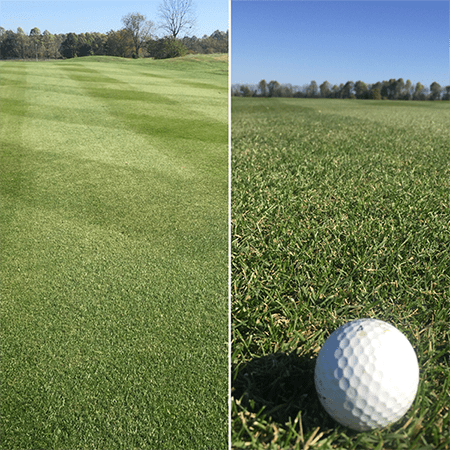 collage of golf ball and close-up of golf course