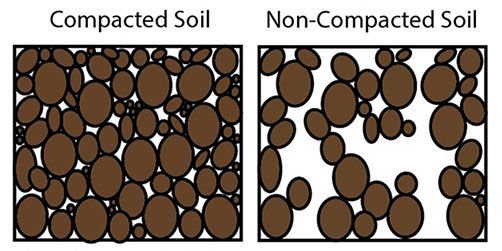 diagram of compacted soil and non-compacted soil