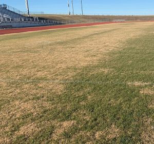 brown grass on a football field