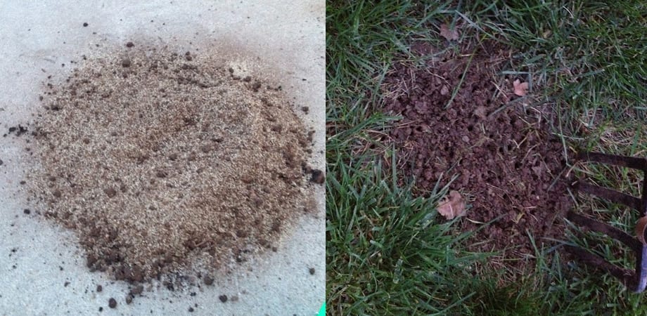 collage of two different divot mixs