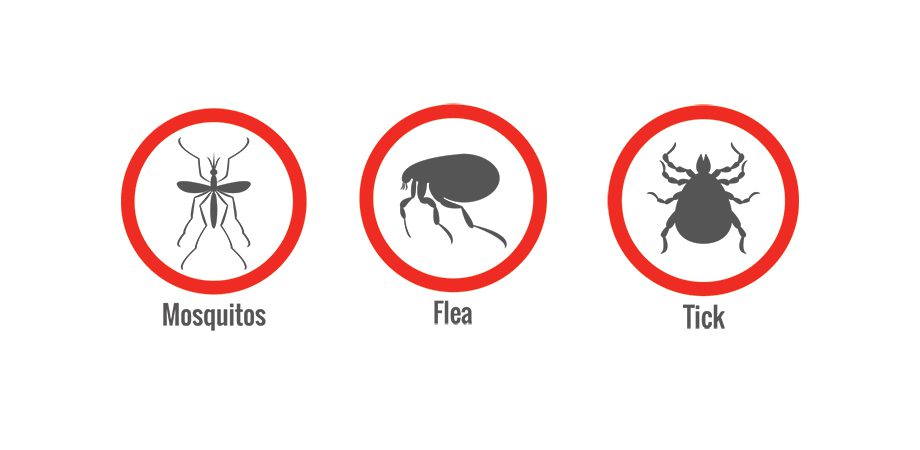 Mosquitos, Fleas, and Ticks