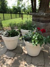 three flower pots with beautiful flowers