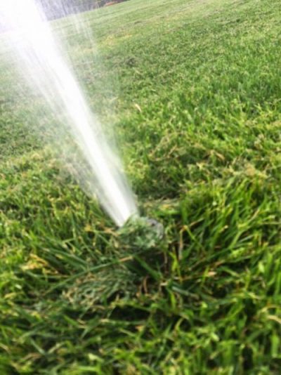 close up of sprinkler spraying water