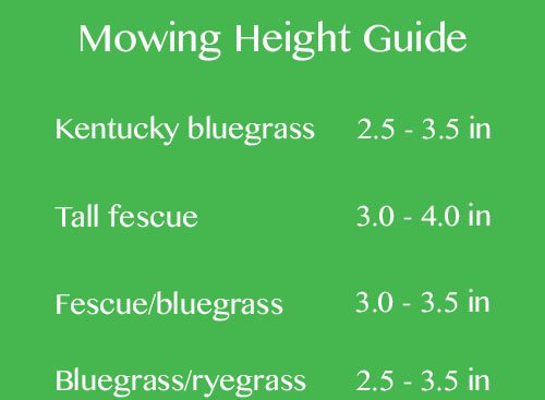 Mowing Height Guide