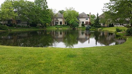 pond in a backyard after the algae was removed