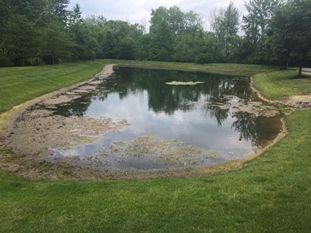 pond before they fixed it up
