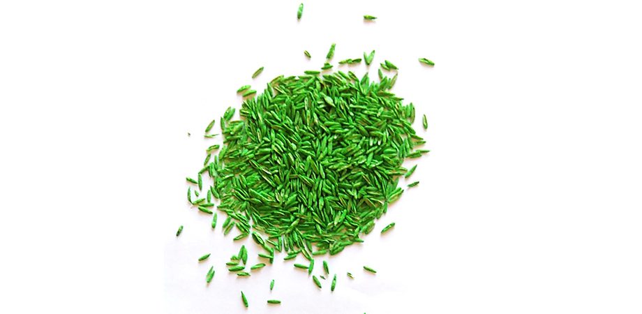 pile of green seeds