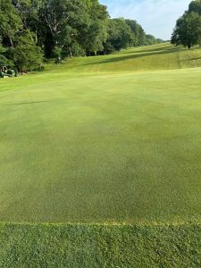 healthy green sprayed with Percolate.
