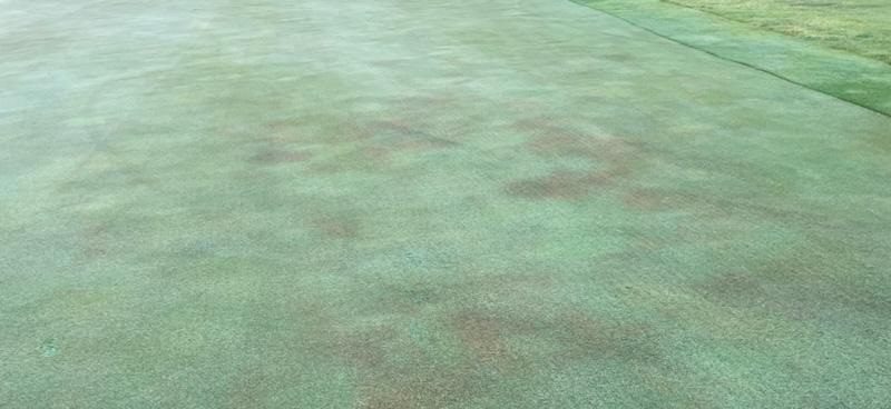 Green with Localized Dry Spot