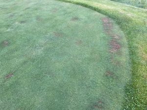Tee with Localized Dry Spot